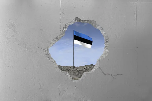 Естонська-прапор позаду бетонну стіну. — стокове фото