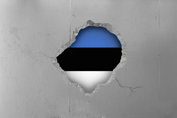 コンクリートの壁の背後にあるエストニアの旗. — ストック写真