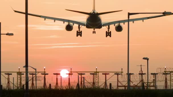 Achteraanzicht Van Een Passagiersvliegtuig Landing Bij Zonsondergang Thema Van Luchthaven — Stockvideo