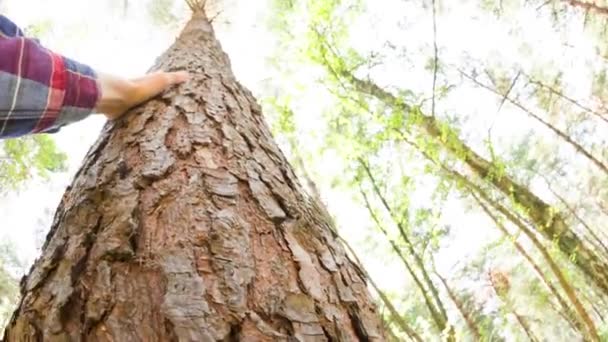 Personal Perspective Caucasian Man Touching Tree Themes Environmentalist Care Sustainability — Stockvideo