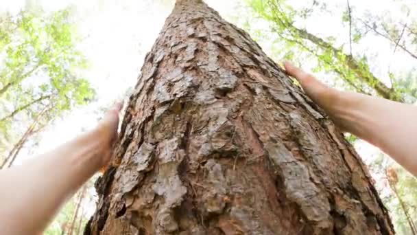 Personal Perspective Caucasian Man Touching Tree Themes Environmentalist Care Sustainability — Stockvideo