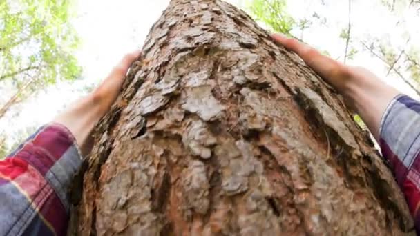 Perspectiva Pessoal Homem Caucasiano Tocando Uma Árvore Temas Cuidado Ambientalista — Vídeo de Stock
