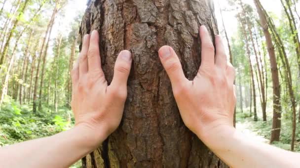 Personal Perspective Caucasian Man Touching Tree Themes Environmentalist Care Sustainability — Stockvideo