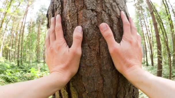 Personal Perspective Caucasian Man Touching Tree Themes Environmentalist Care Sustainability — Stockvideo