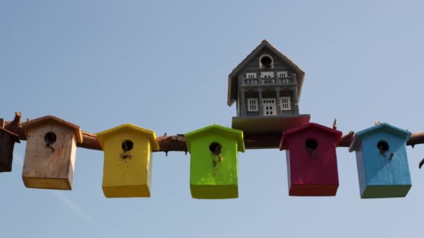 Timelapse Nichoirs Multicolores Sur Thème Branches Contrastes Abri Protection Maison — Video