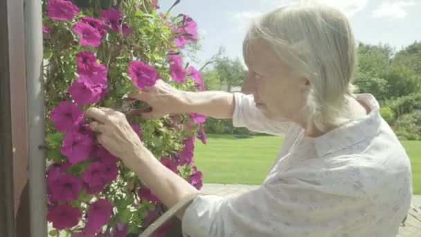 Senior Kaukasiska Kvinna Trädgårdsteman Pensionärer Trädgårdshobbyer — Stockvideo