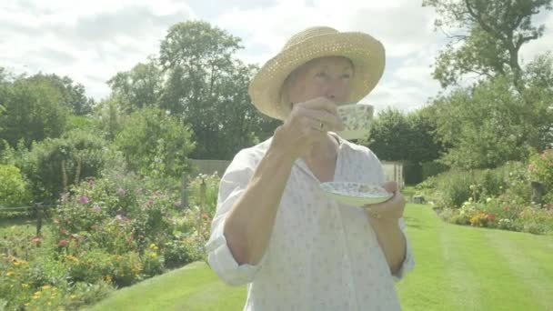 シニア白人女性は彼女の庭でお茶を飲みます退職高齢者のテーマリラックスした飲酒 — ストック動画