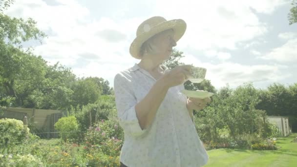 年长的高加索女人在花园喝茶 主题是退休老人放松饮酒 — 图库视频影像