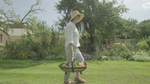 Steady Cam View Senior Caucasian Woman Walking Her Garden Themes — 비디오