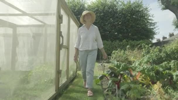 Steady Cam View Senior Caucasian Woman Walking Her Garden Themes — 비디오