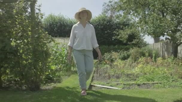 Stały Widok Kamery Starszej Kaukaskiej Kobiety Przechodzącej Przez Jej Ogród — Wideo stockowe