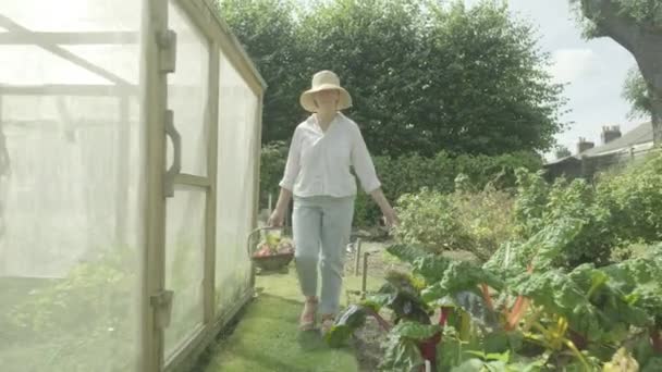 Kafkasyalı Yaşlı Bir Kadının Bahçesinde Yürüdüğünü Gösteren Sabit Bir Kamera — Stok video