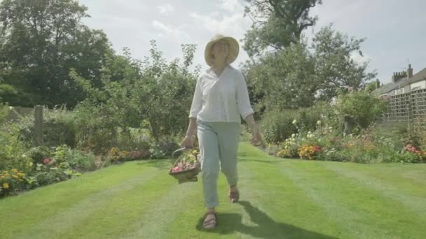 Steady Cam View Senior Caucasian Woman Walking Her Garden Themes — 비디오