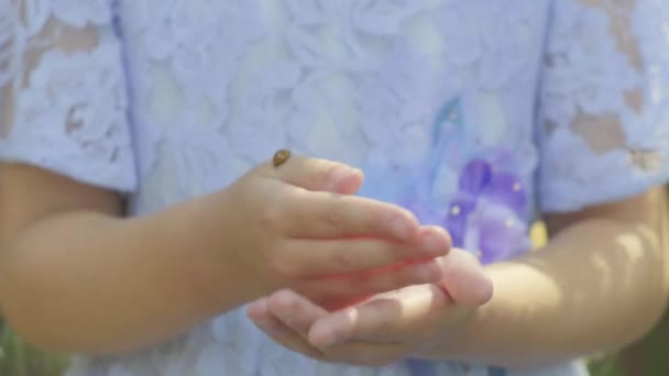 Pre Teen Caucasian Girl Holding Ladybird Her Hands Which Flies — 비디오