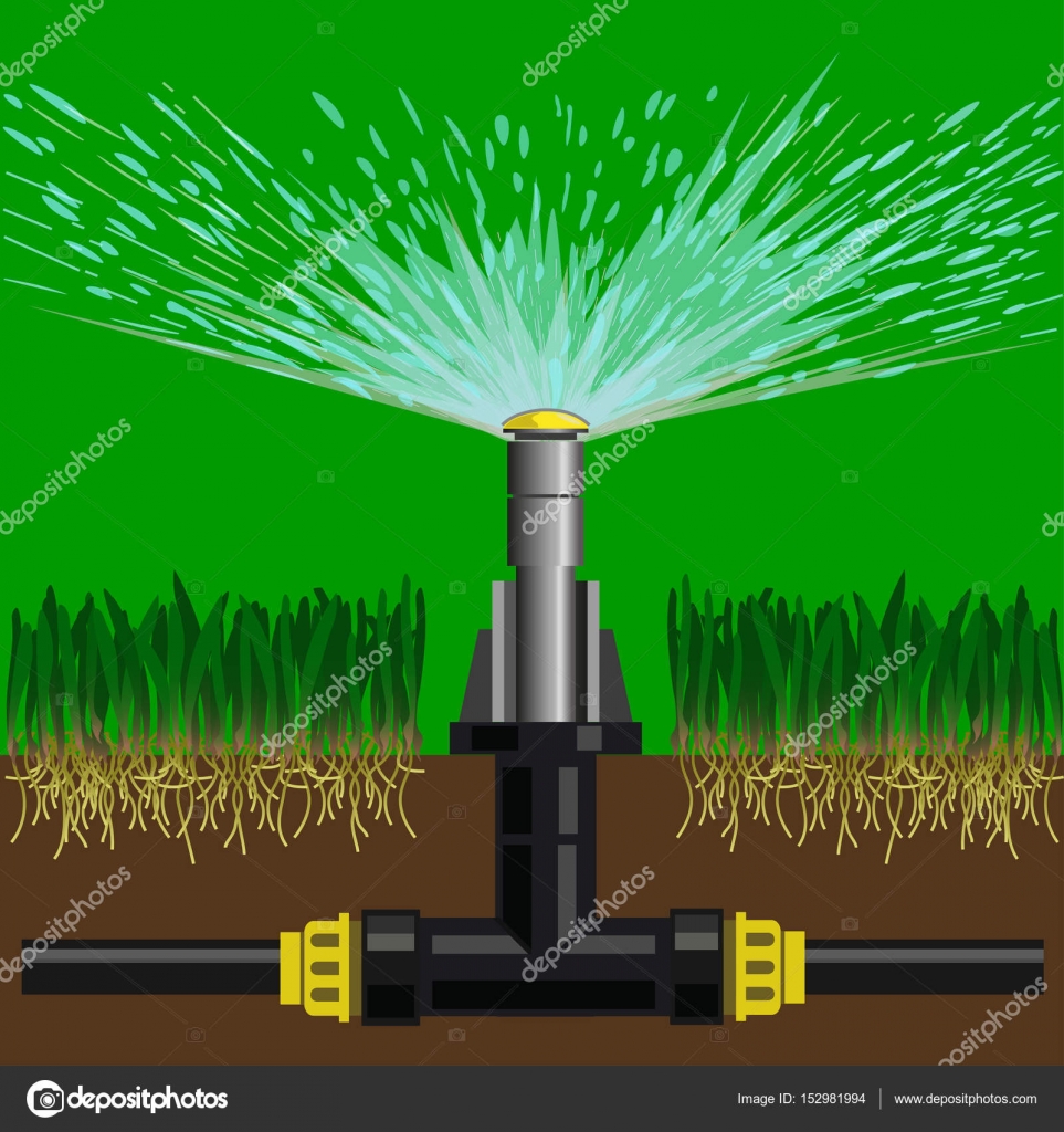 Rociadores automáticos de riego — Vector de stock © newgena #152981994