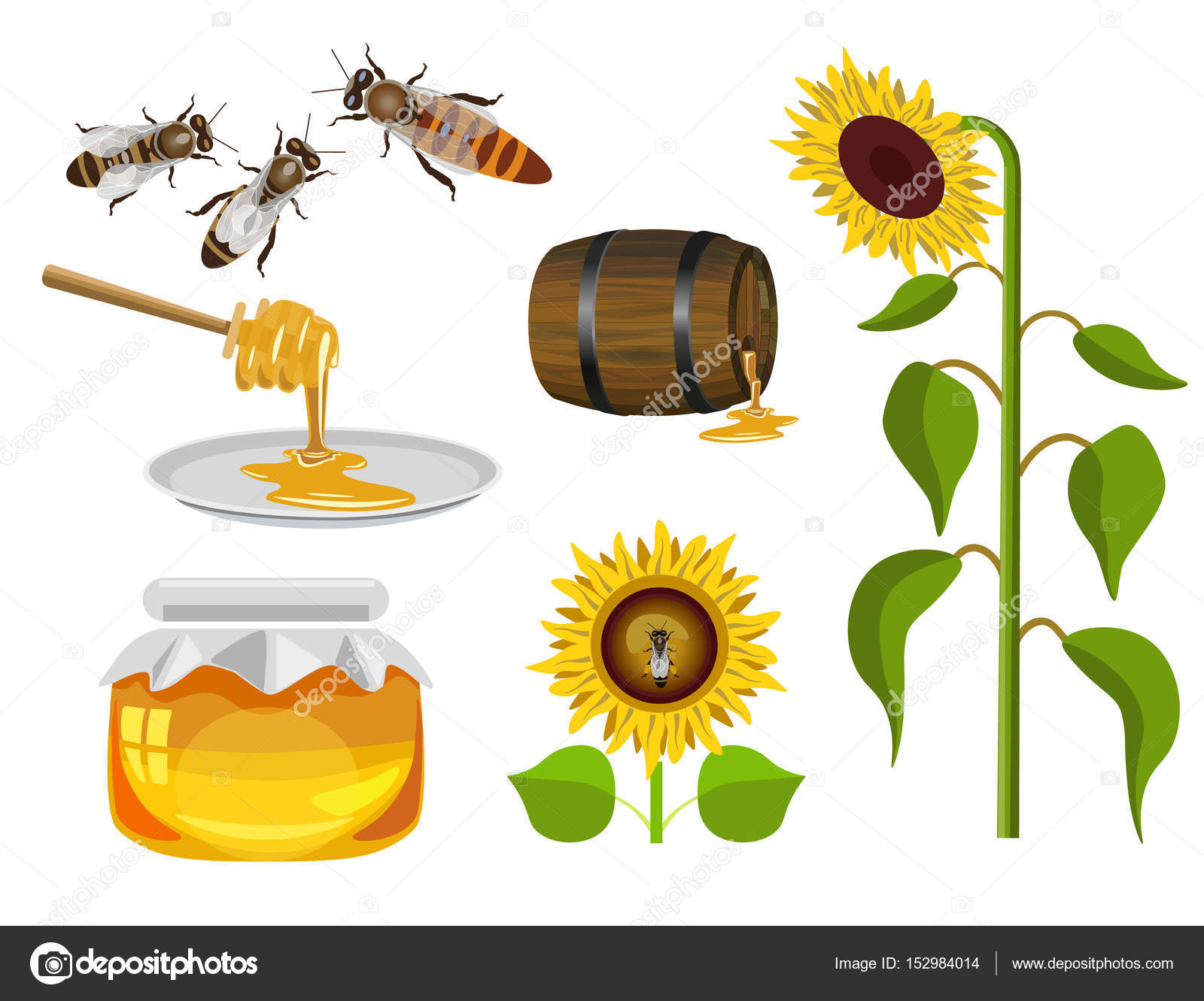 Векторная Иллюстрация Для Пчеловодства Stock Vector By ©newgena.