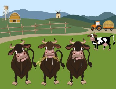 Sığır çiftliği vektör