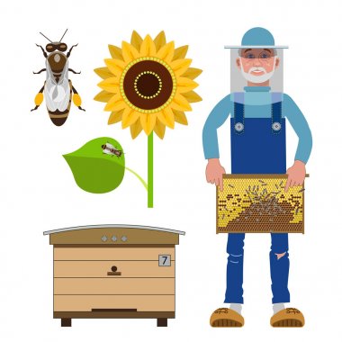 Arıcılık için vektör çizimler