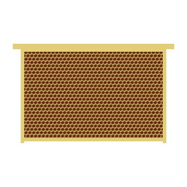 Kovan vektör çerçeve