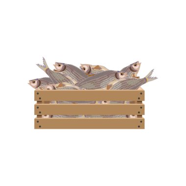 Ahşap sandık içinde balık