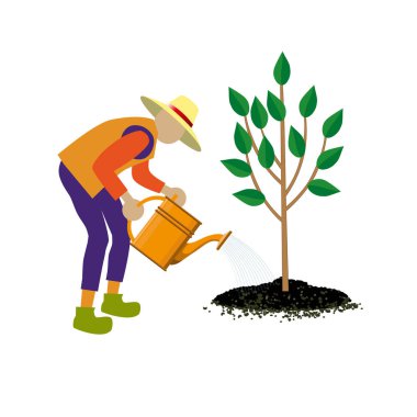 Bahçıvan sulama ağaç