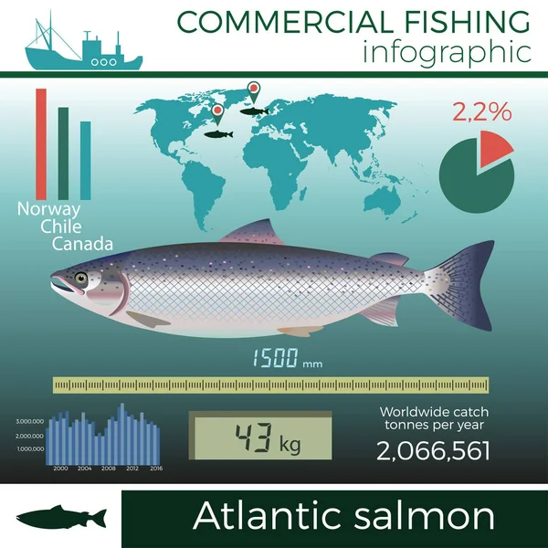 Η εμπορική αλιεία infographic. — Διανυσματικό Αρχείο