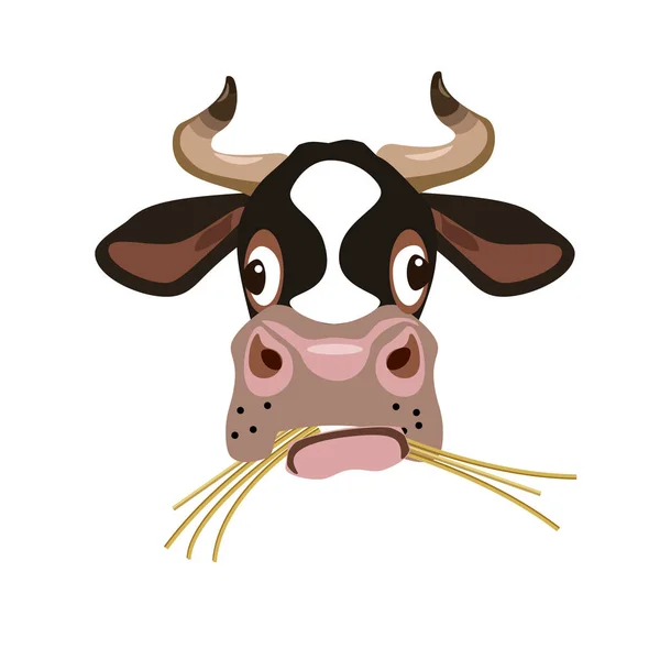 Cow's head vector — Stock Vector