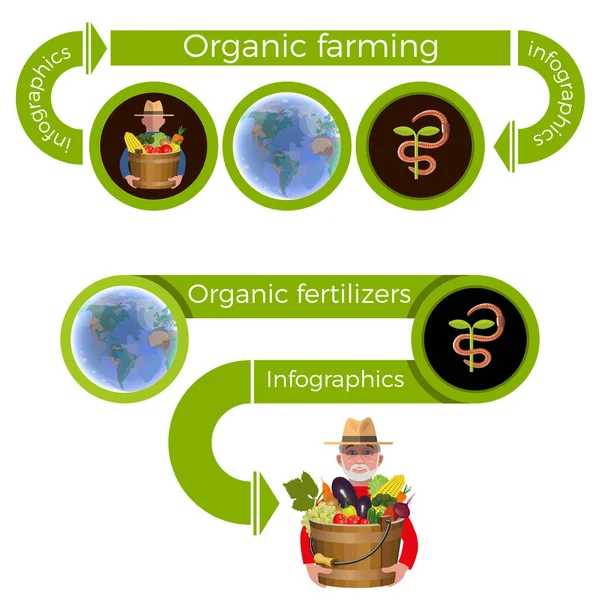 Agricultura ecológica vector — Archivo Imágenes Vectoriales