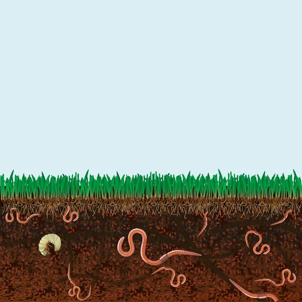 100,000 Earthworms Vector Images