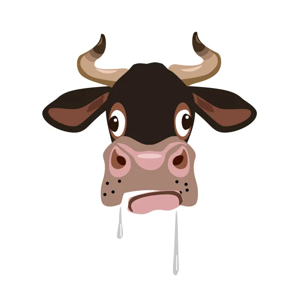 Cow's head vector — Stock Vector