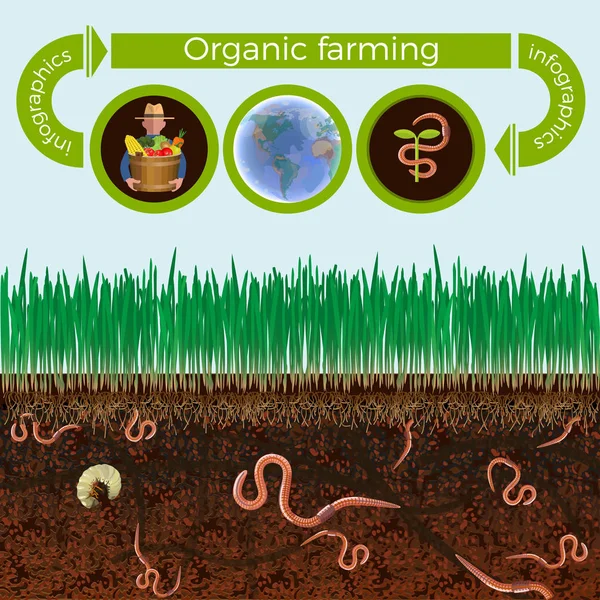 Vetor de corte à terra —  Vetores de Stock