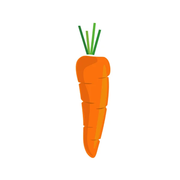 Ilustración del vector de zanahoria — Vector de stock