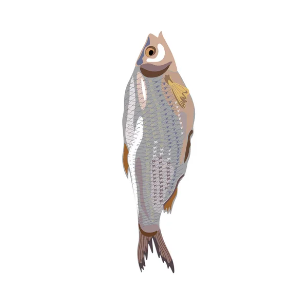 Vector de pescado seco — Vector de stock