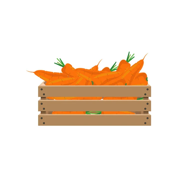 Carrot  in  wooden crate — Stock Vector