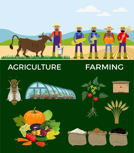 Jordbruks- och jordbruk. — Stock vektor