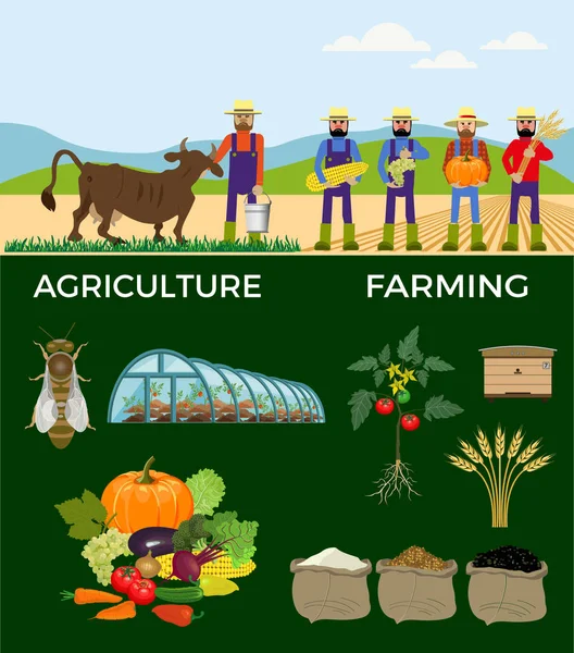 Сільськогосподарська та сільське господарство . — стоковий вектор