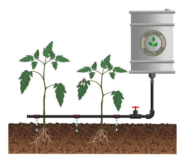 Drip irrigation vector