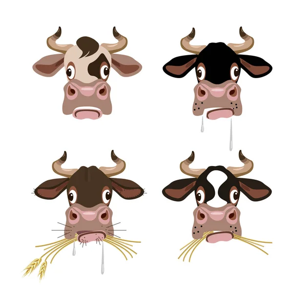 Vetor de cabeças de vaca — Vetor de Stock