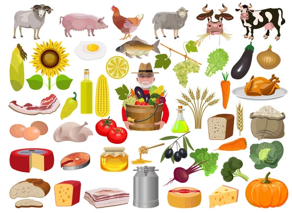 Conjunto de alimentos de desenhos animados —  Vetores de Stock