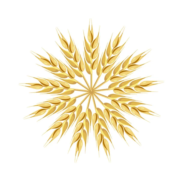 Gaine de vecteur de blé — Image vectorielle