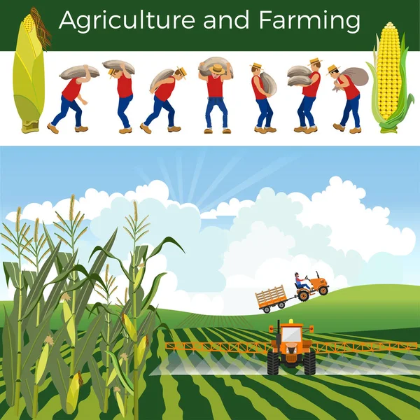 vektör kırsal manzara