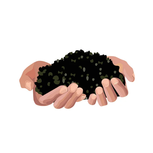 Hands holding soil — Stock Vector