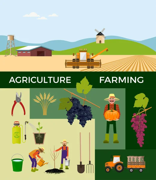 Landbouw en biologische landbouw. — Stockvector