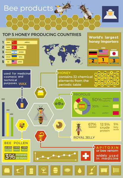 Bee products infographics