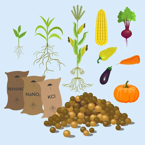 Engrais et légumes granulés — Image vectorielle