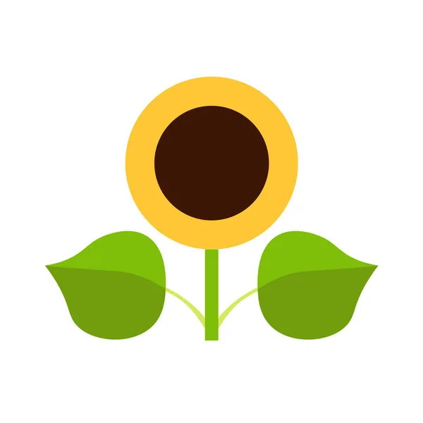 Sonnenblumenpflanzen-Ikone — Stockvektor
