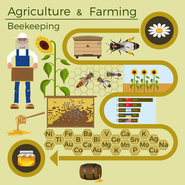 Beekeeping vector illustration