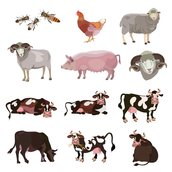 Вектор сельскохозяйственных животных — стоковый вектор