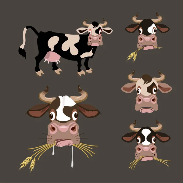 Set of vector images cows — Stock Vector