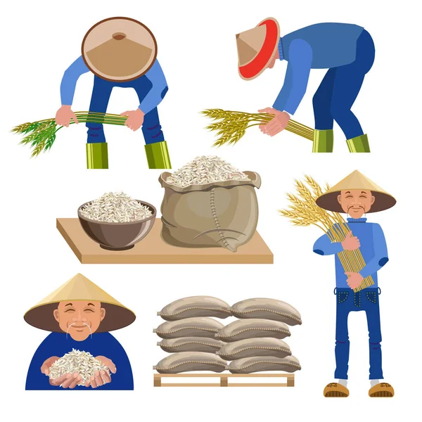 Agricultores cosechan arroz — Vector de stock